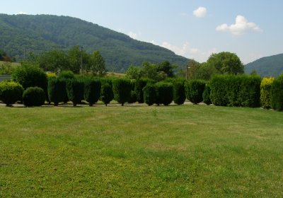 Kmínek Michal, 2020