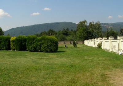 Kmínek Michal, 2020