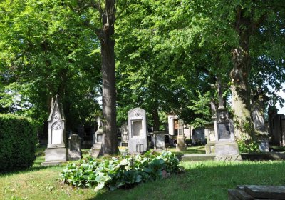 Brloh u Loun, Omnium, 2020