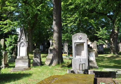 Brloh u Loun, Omnium, 2020