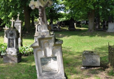 Brloh u Loun, Omnium, 2020