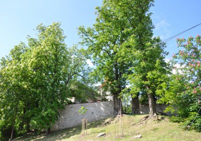 Brloh u Loun, Omnium, 2020