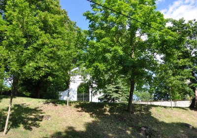 Brloh u Loun, Omnium, 2020