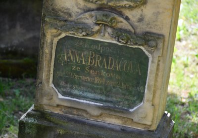 Brloh u Loun, Omnium, 2020