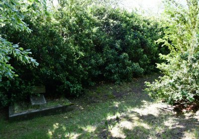 Brloh u Loun, Omnium, 2020