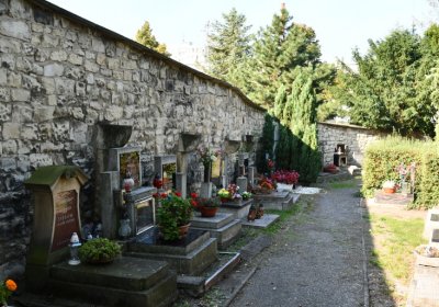 Louny u kostela sv. Petra, Omnium, 2020