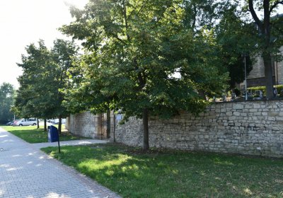 Louny u kostela sv. Petra, Omnium, 2020