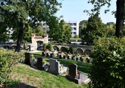 Louny u kostela sv. Petra, Omnium, 2020