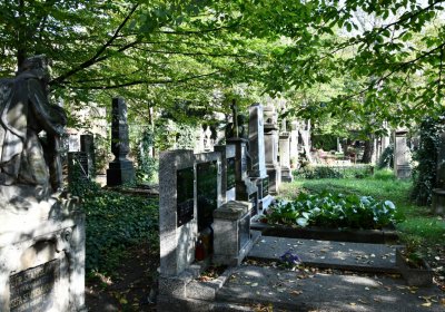 Louny u kostela 14 sv. pomocníků, Omnium, 2020