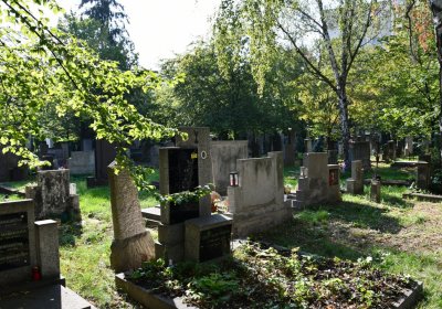 Louny u kostela 14 sv. pomocníků, Omnium, 2020