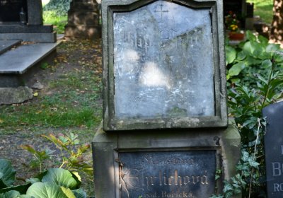 Louny u kostela 14 sv. pomocníků, Omnium, 2020