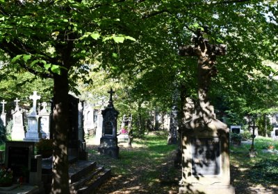 Louny u kostela 14 sv. pomocníků, Omnium, 2020