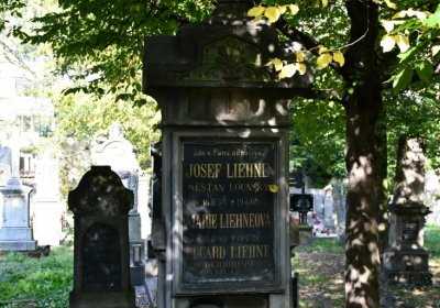 Louny u kostela 14 sv. pomocníků, Omnium, 2020