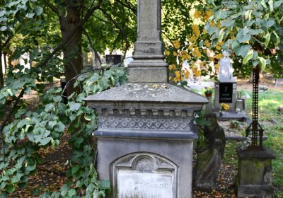 Louny u kostela 14 sv. pomocníků, Omnium, 2020