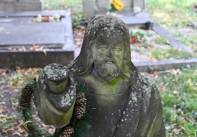 Louny u kostela 14 sv. pomocníků, Omnium, 2020