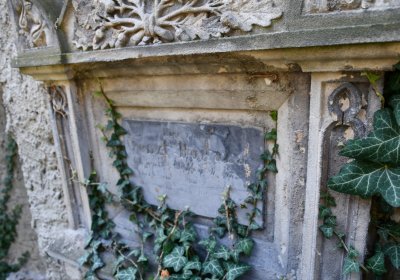 Louny u kostela 14 sv. pomocníků, Omnium, 2020