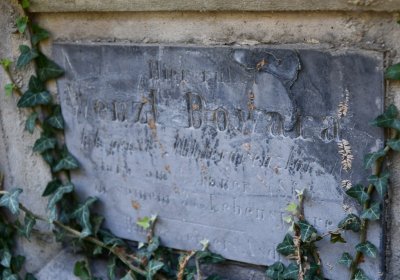 Louny u kostela 14 sv. pomocníků, Omnium, 2020