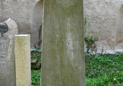 Louny u kostela 14 sv. pomocníků, Omnium, 2020