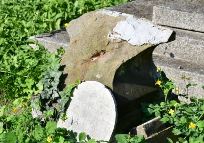 Louny u kostela 14 sv. pomocníků, Omnium, 2020