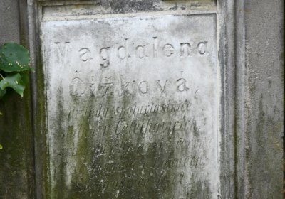 Louny u kostela 14 sv. pomocníků, Omnium, 2020