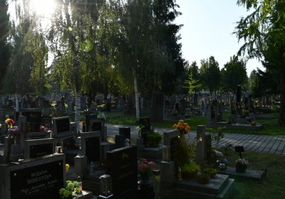 Louny městský hřbitov, Omnium, 2020