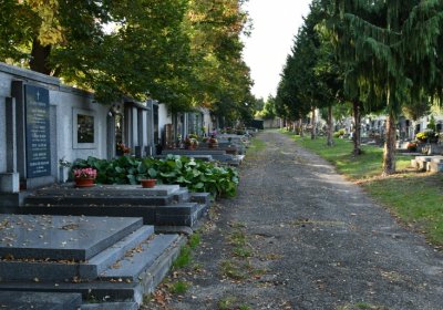 Louny městský hřbitov, Omnium, 2020