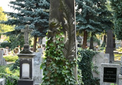 Louny městský hřbitov, Omnium, 2020