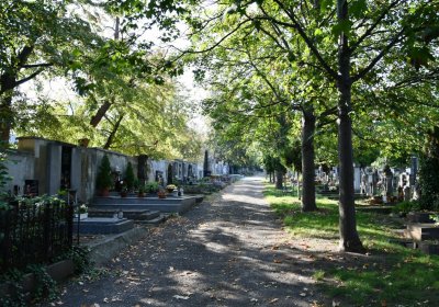 Louny městský hřbitov, Omnium, 2020