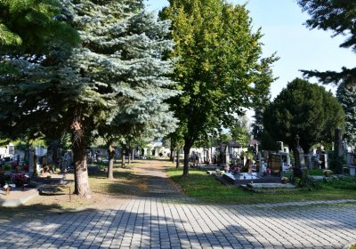 Louny městský hřbitov, Omnium, 2020