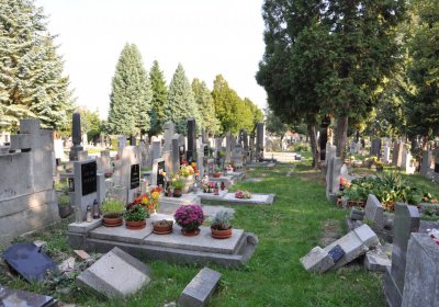 Louny městský hřbitov, Omnium, 2020