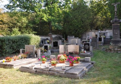 Nečichy, Omnium, 2020