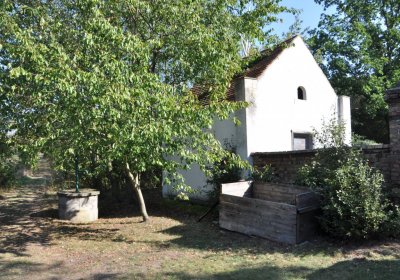 Nečichy, Omnium, 2020