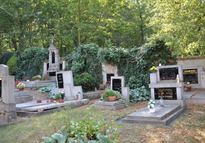 Nečichy, Omnium, 2020