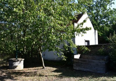 Nečichy, Omnium, 2020