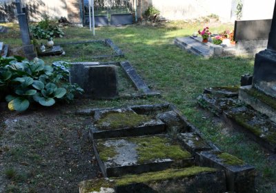 Nečichy, Omnium, 2020