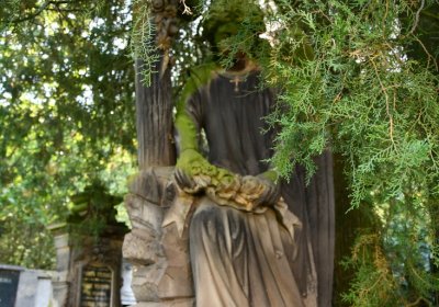 Nečichy, Omnium, 2020