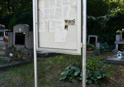 Nečichy, Omnium, 2020