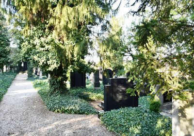 Louny židovský hřbitov, Omnium, 2020