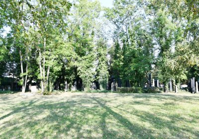 Louny židovský hřbitov, Omnium, 2020