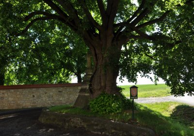 Smolnice, Omnium, 2020