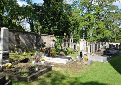 Smolnice, Omnium, 2020