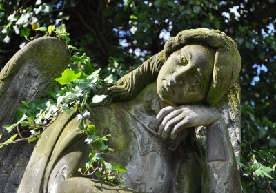 Smolnice, Omnium, 2020