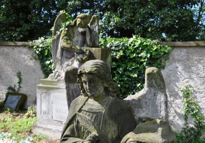 Smolnice, Omnium, 2020