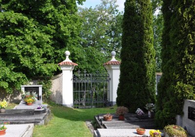 Smolnice, Omnium, 2020