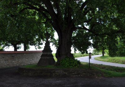 Smolnice, Omnium, 2020