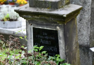 Smolnice, Omnium, 2020