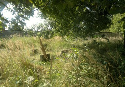 Sedláček Hugo, 2014