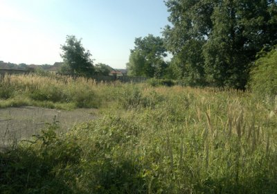 Sedláček Hugo, 2014