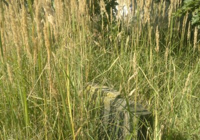 Sedláček Hugo, 2014