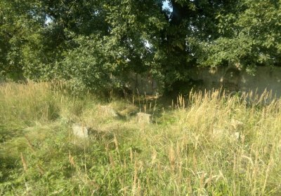 Sedláček Hugo, 2014